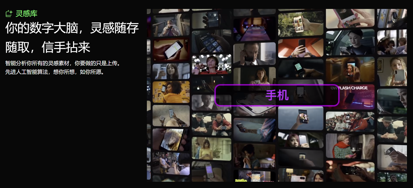 知作 知作
