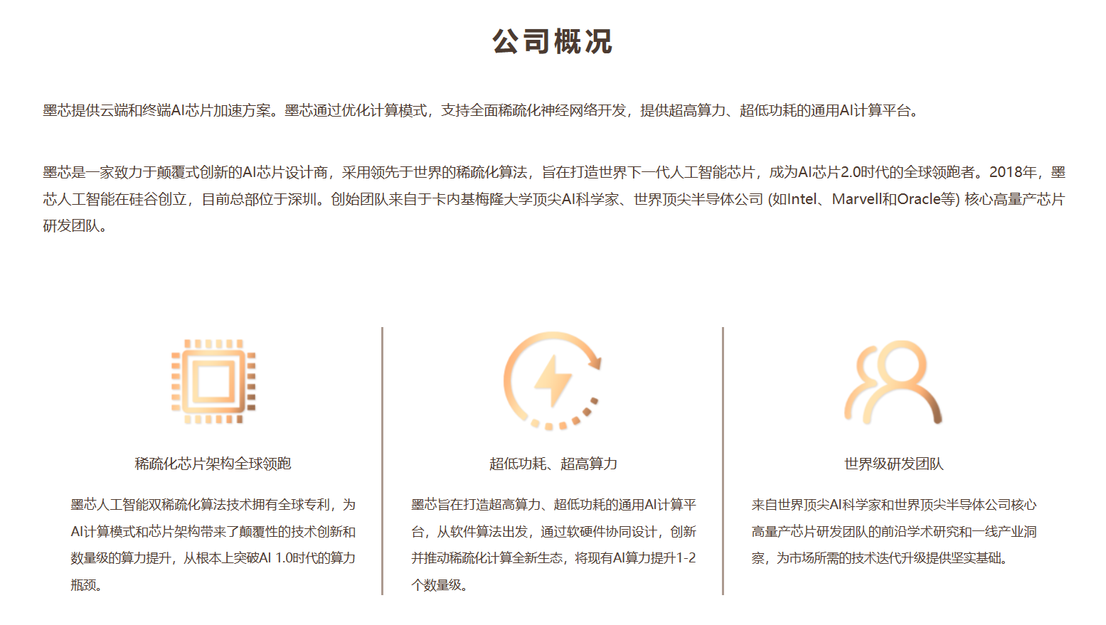 墨芯人工智能 墨芯人工智能